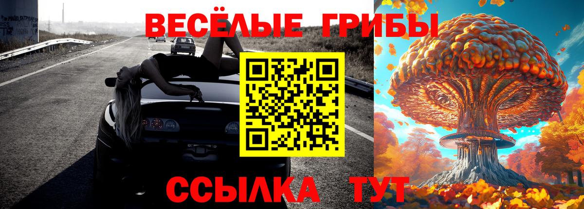 Галлюциногенные грибы прущие грибы  Вход с VPN  Тобольск  Галлюциногенные грибы Magic Shrooms 