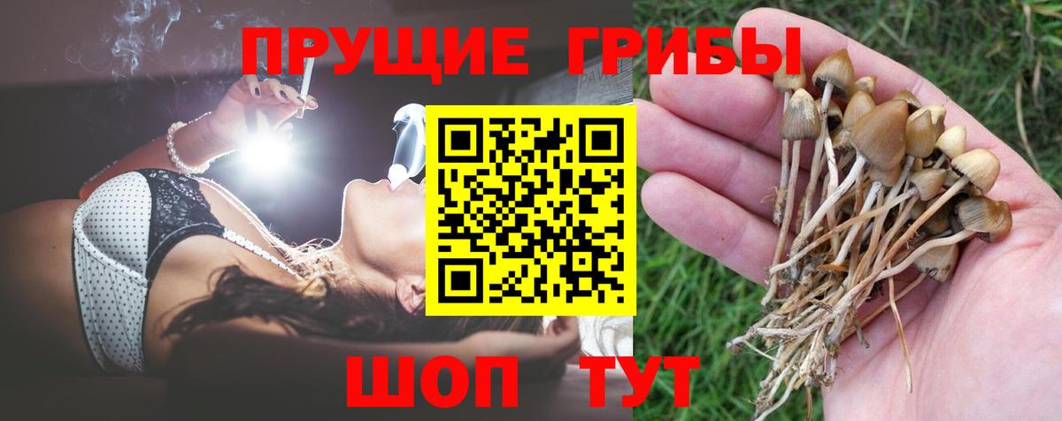 Галлюциногенные грибы ЛСД Тобольск