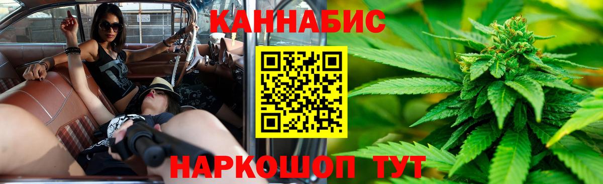Бошки Шишки планчик Тобольск